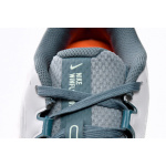 Nike Air Winflo 9 Pure Platinum Mineral