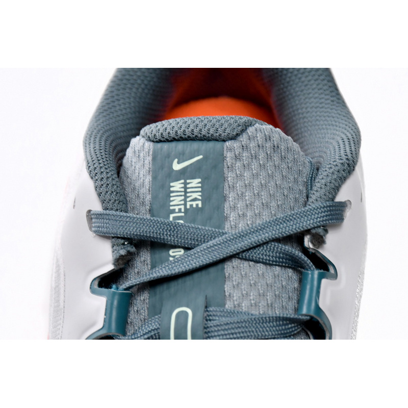 Nike Air Winflo 9 Pure Platinum Mineral