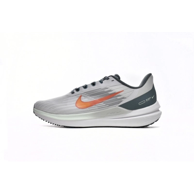 Nike Air Winflo 9 Pure Platinum Mineral 01