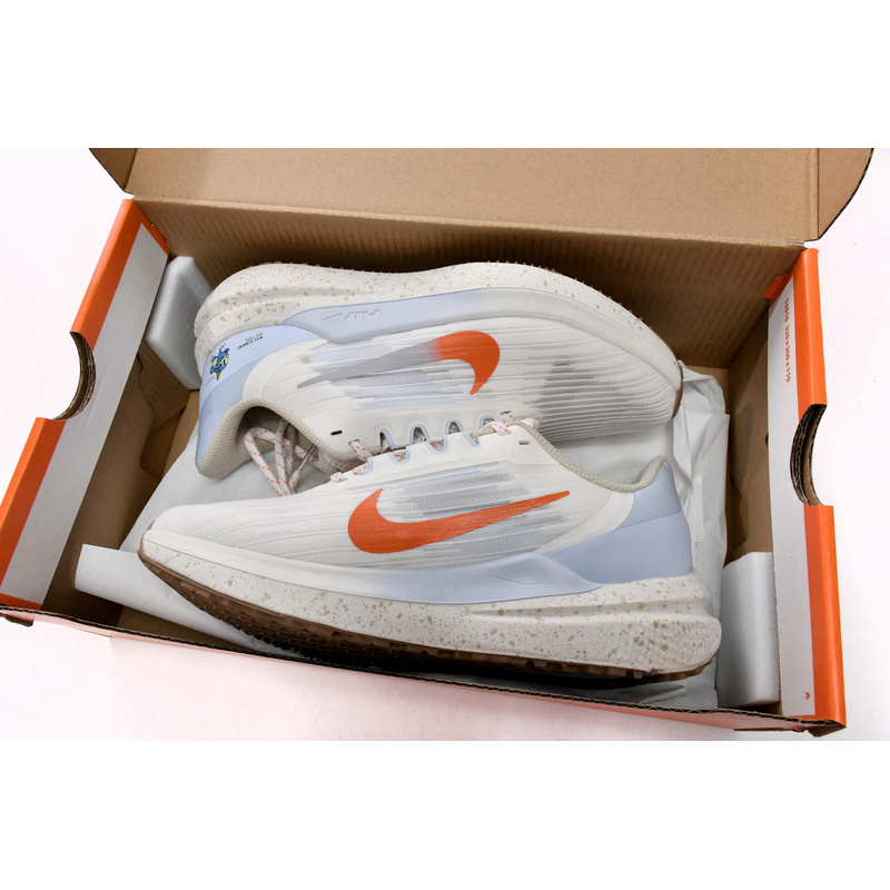 Nike Air Winflo 9 Sail Celestine Blue