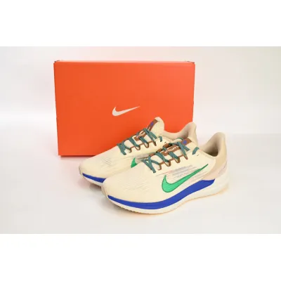 Nike Air Winflo 9 White Green Blue 02