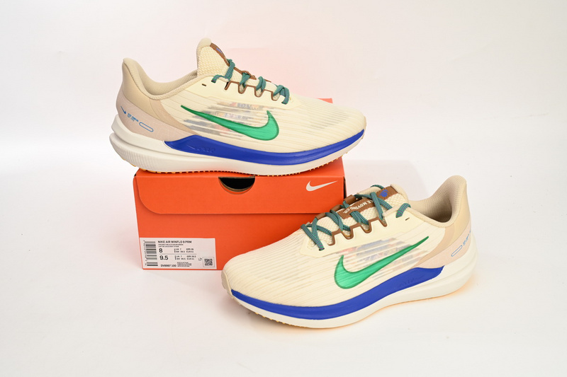Nike Air Winflo 9 White Green Blue