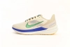 Nike Air Winflo 9 White Green Blue