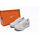 Nike Air Winflo 9 White Metallic Silver