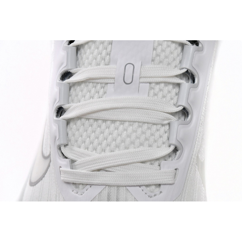 Nike Air Winflo 9 White Metallic Silver