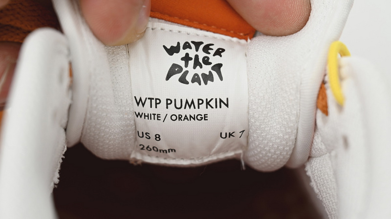 M Batch WTP"MOSS" DUNK Sun Orange