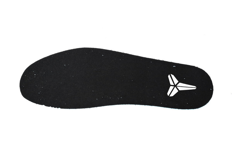 Nike Kobe 4 Protro “Black Mamba”