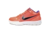 Nike Kobe 4 Protro Devin Booker