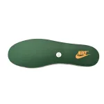 Nike Dunk Low Interstellar Orange Green