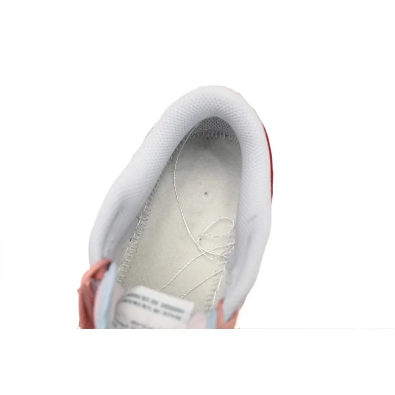 Nike Dunk Low Strawberry Embracing Pig