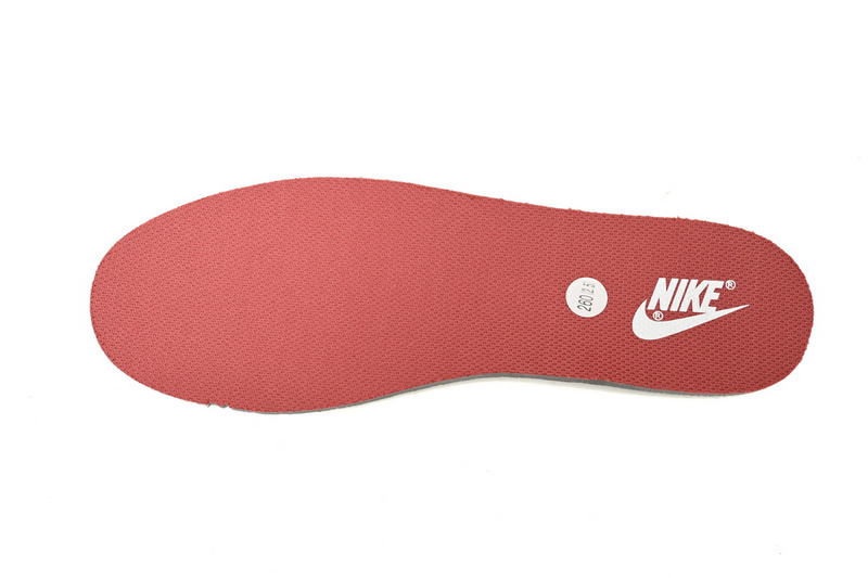 Nike Dunk Low The Blue Danube