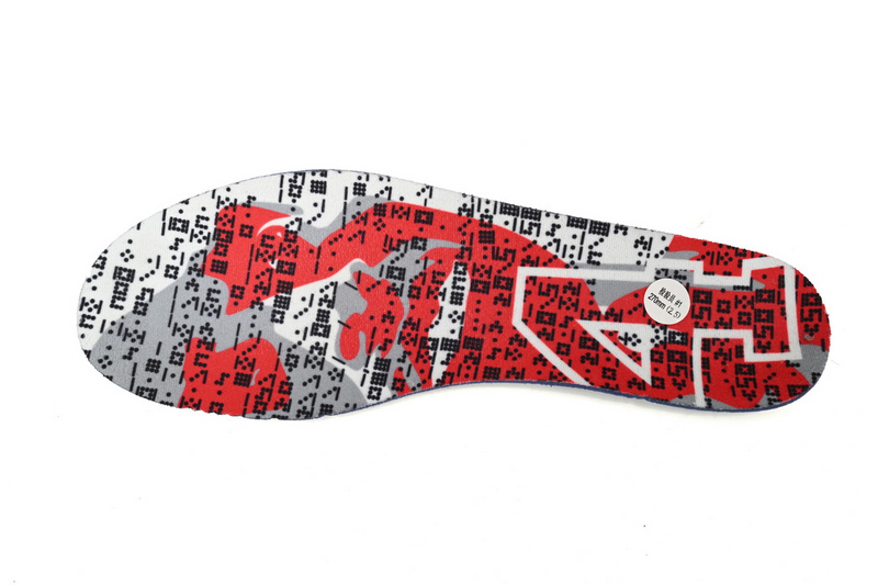 Nike Kobe 5 Protro “Chaos”