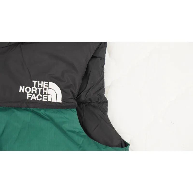 1996 TheNorthFace Yellow Color Blackish Green