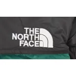 1996 TheNorthFace Yellow Color Blackish Green