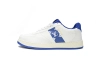 LOUIS VUITTON RivIi White Blue