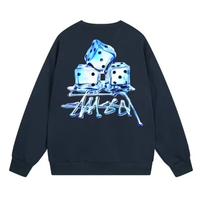 Stussy Hoodie XB507 01