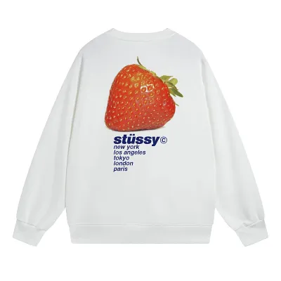 Stussy Hoodie XB533 01