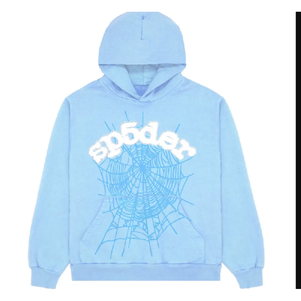 Sp5der-Hoodie 3829