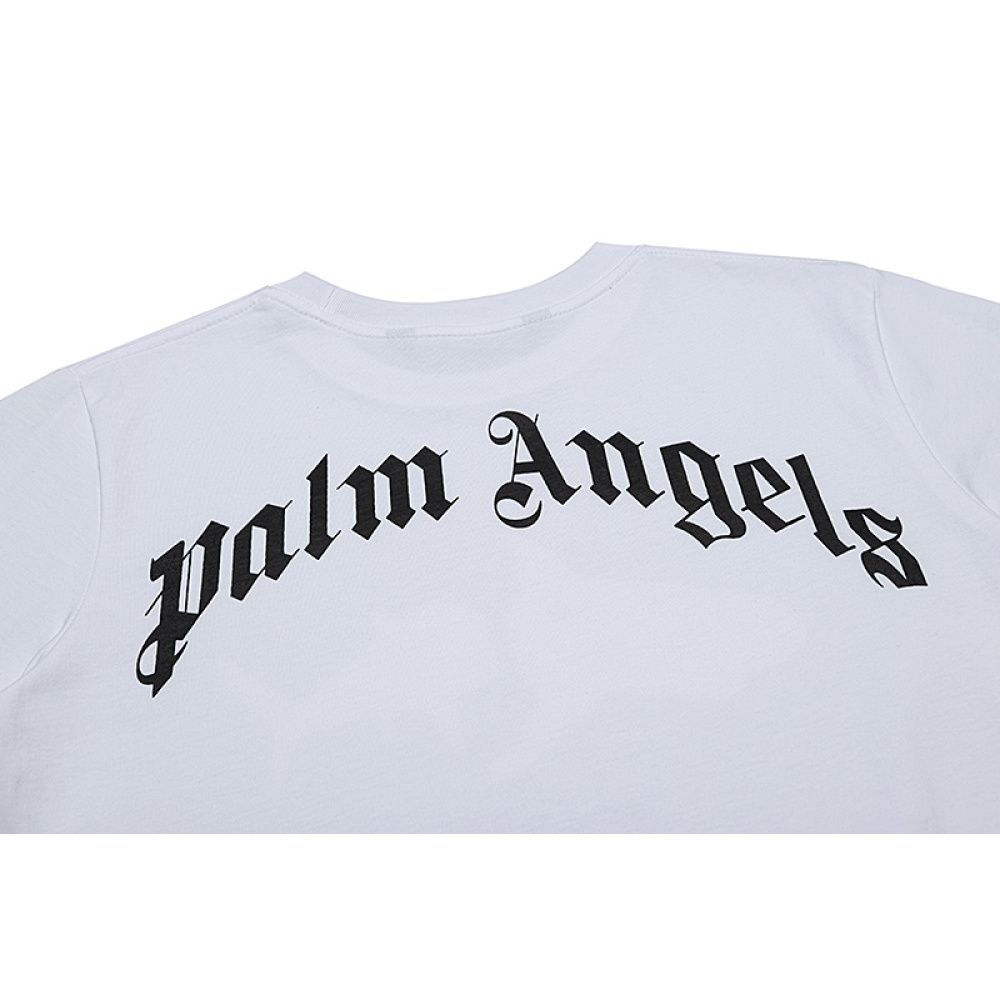 Palm Angles-2181