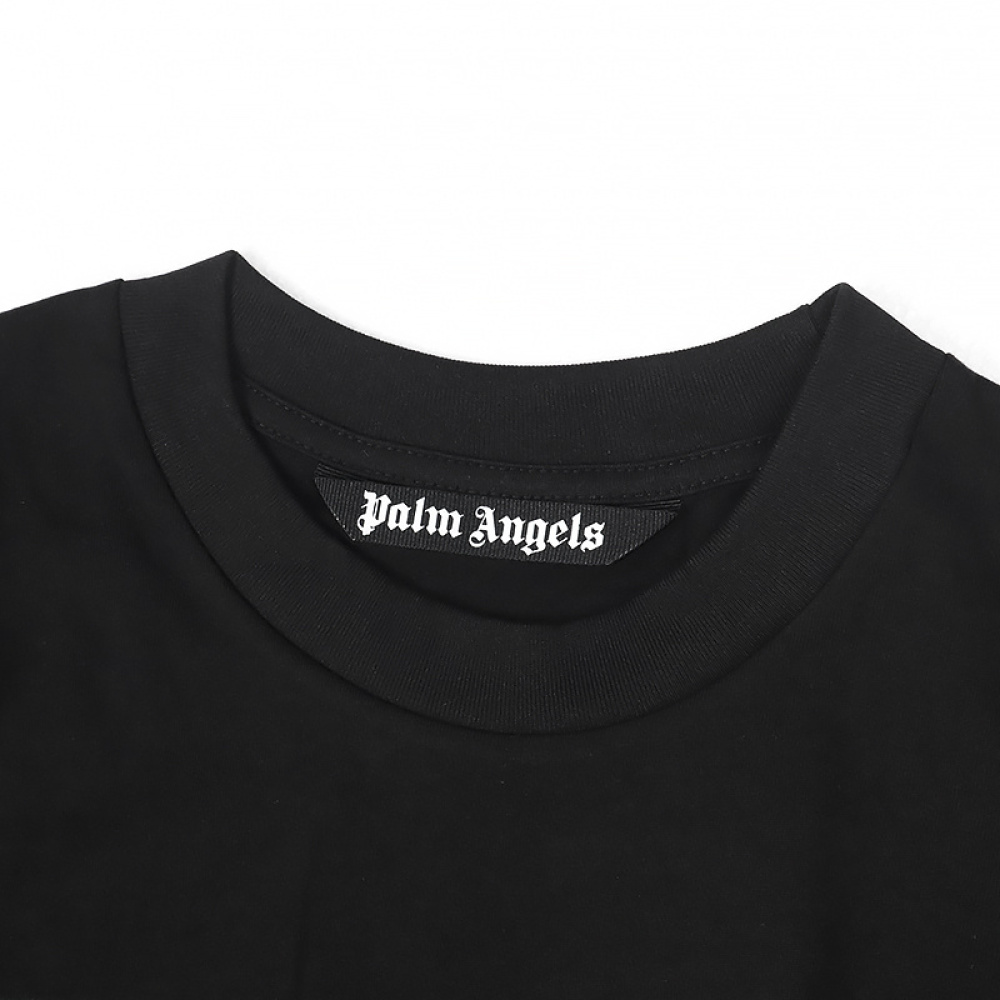 Palm Angles-2197