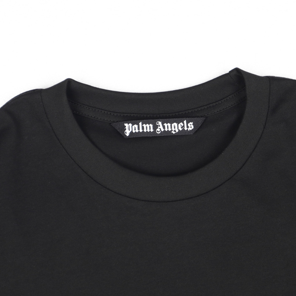 Palm Angles-2215