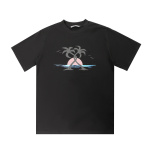 Palm Angles-2221