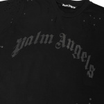 Palm Angles-2222