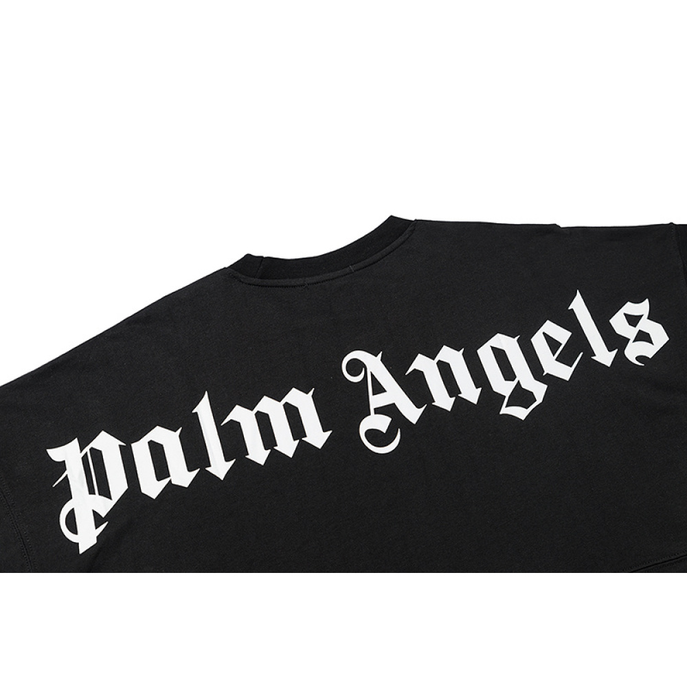 Palm Angles-697