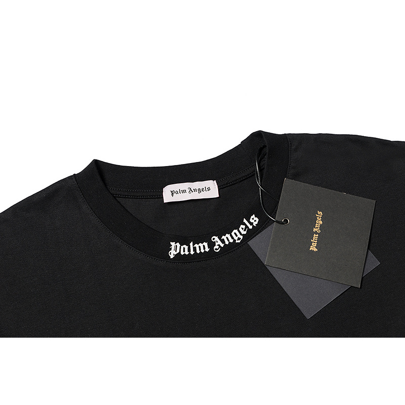 Palm Angles-697