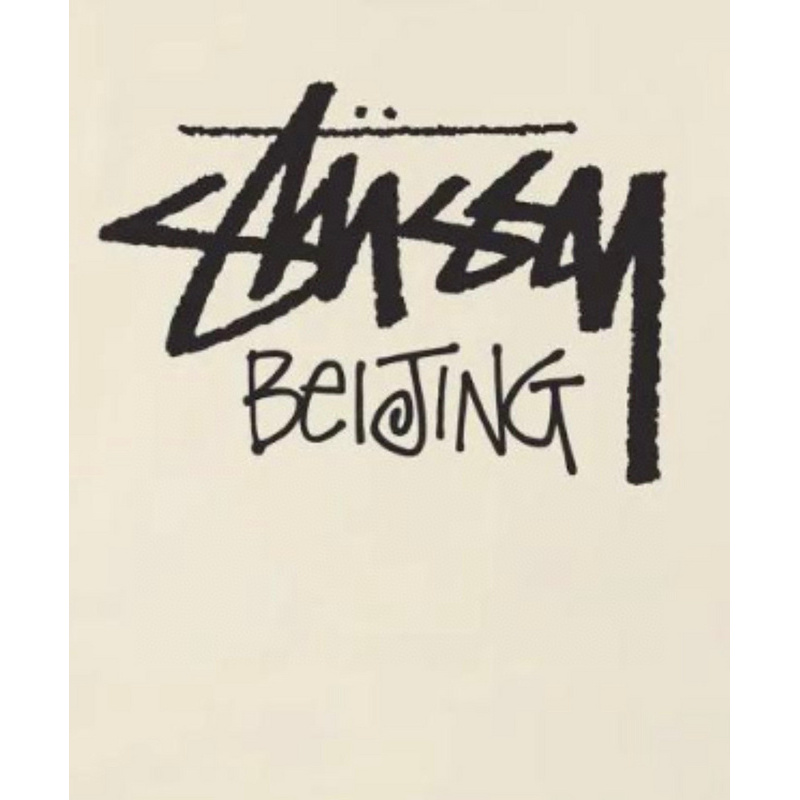 Stussy T-Shirt XB989