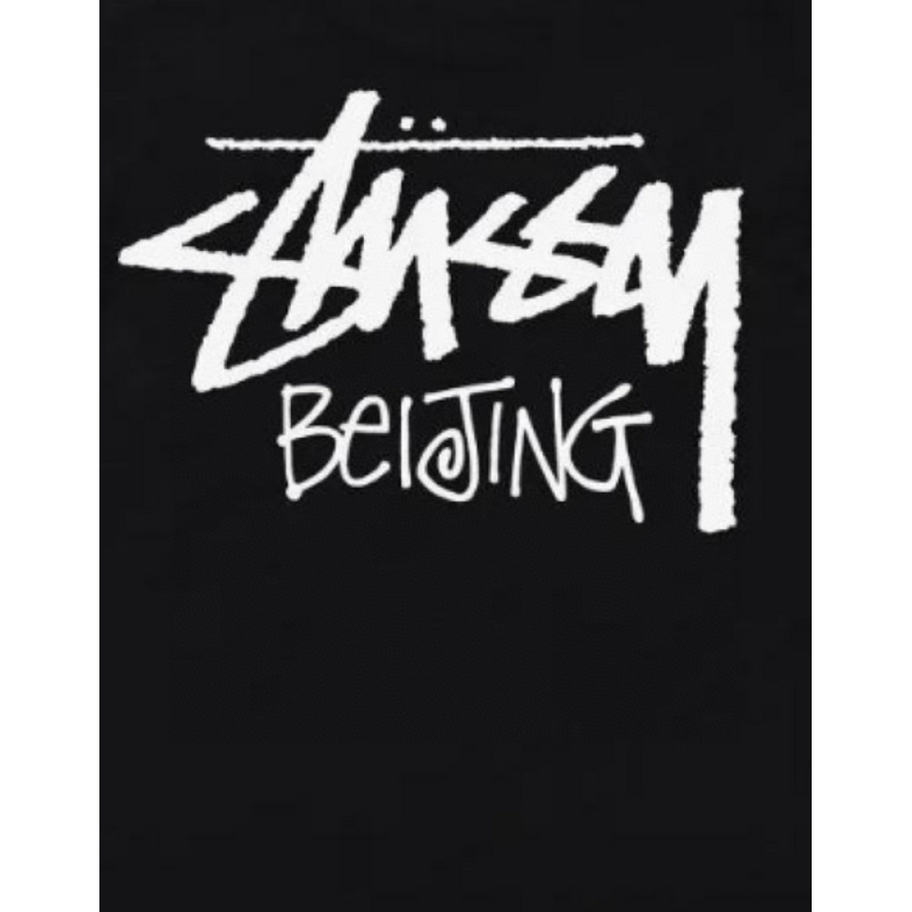 Stussy T-Shirt XB989