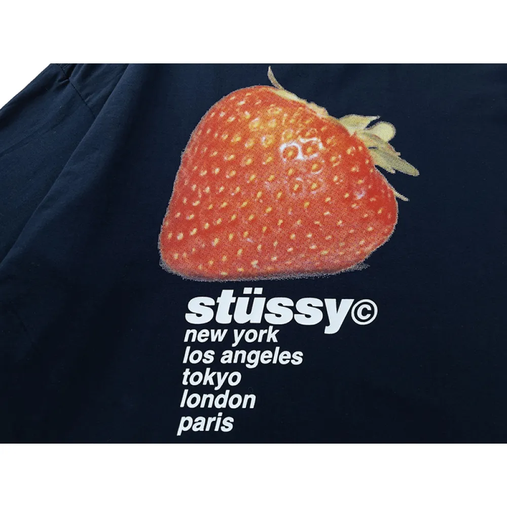 Stussy T-Shirt XB848