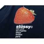 Stussy T-Shirt XB848