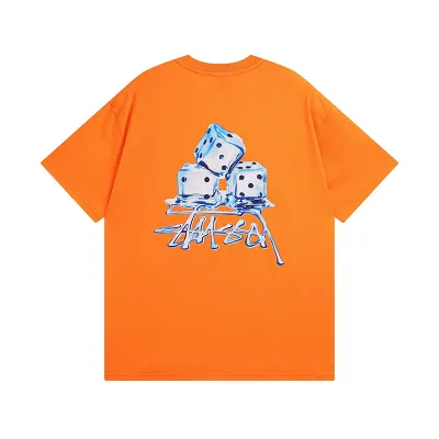 Stussy T-Shirt XB947 01
