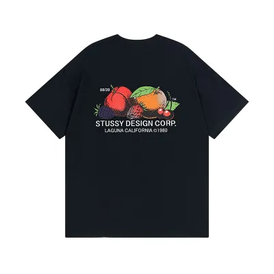 Stussy T-Shirt XB955 02