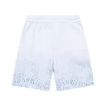 Dior-Shorts 20465