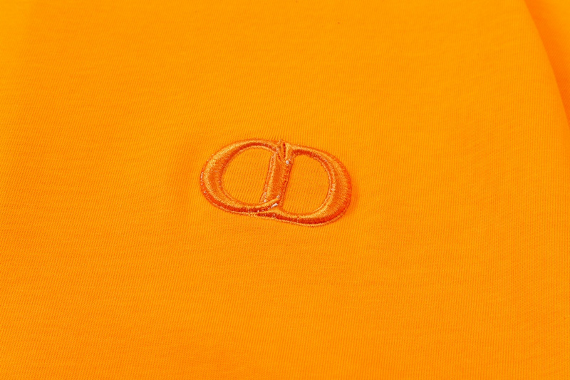 Dior T-Shirt 20258 (5 colors)