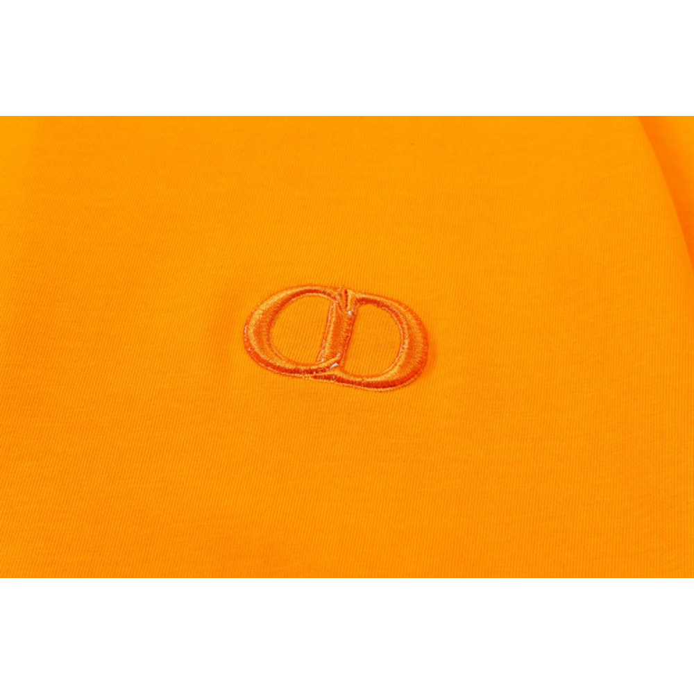 Dior T-Shirt 20258 (5 colors)