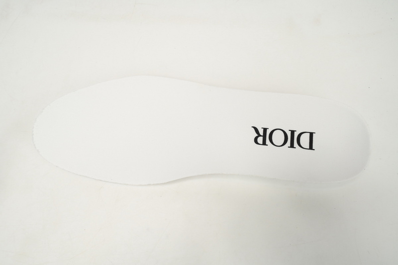 Dior B23 HT Oblique Transparency Electric Embroidered Benim