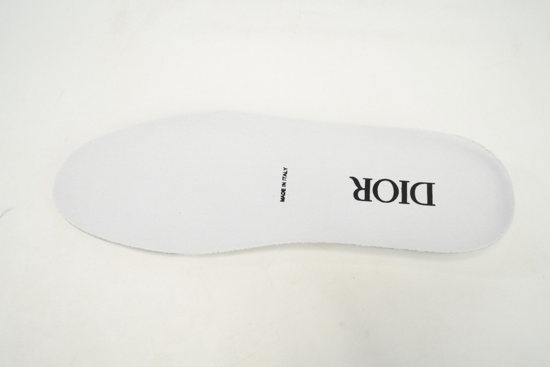 Dior B23 HT Oblique Transparency High Blue Red