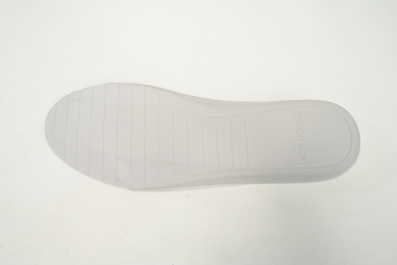 Dior B23 HT Oblique Transparency Low Bang Black and White