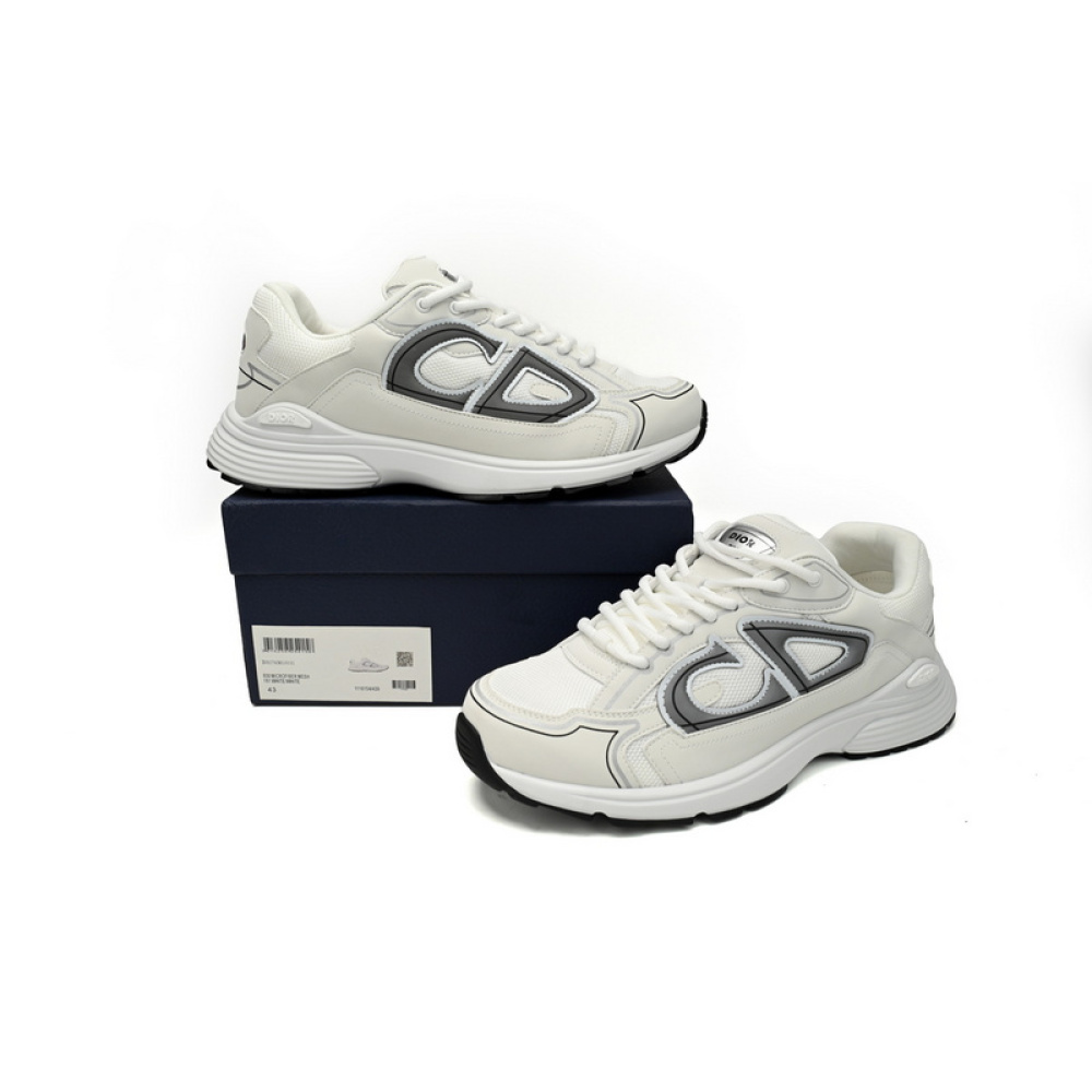 Dior Light Grey 'B30' Sneakers White