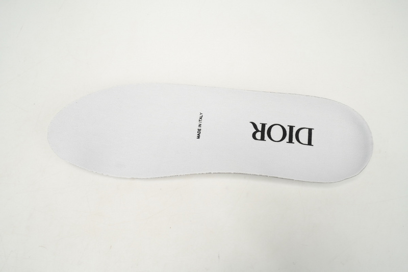 Dior White, Blue, & Black 'B22' Sneakers Rice White Gray