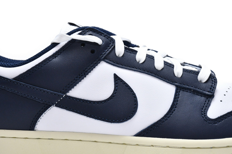 Nike Dunk SB Navy Blue And White