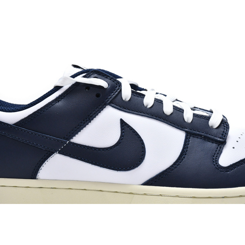 Nike Dunk SB Navy Blue And White