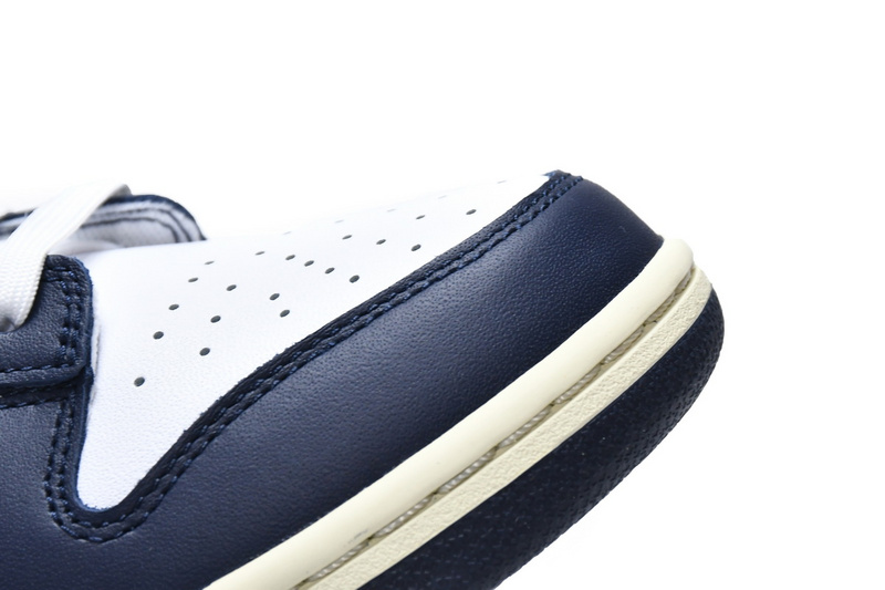 Nike Dunk SB Navy Blue And White