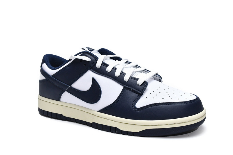 Nike Dunk SB Navy Blue And White