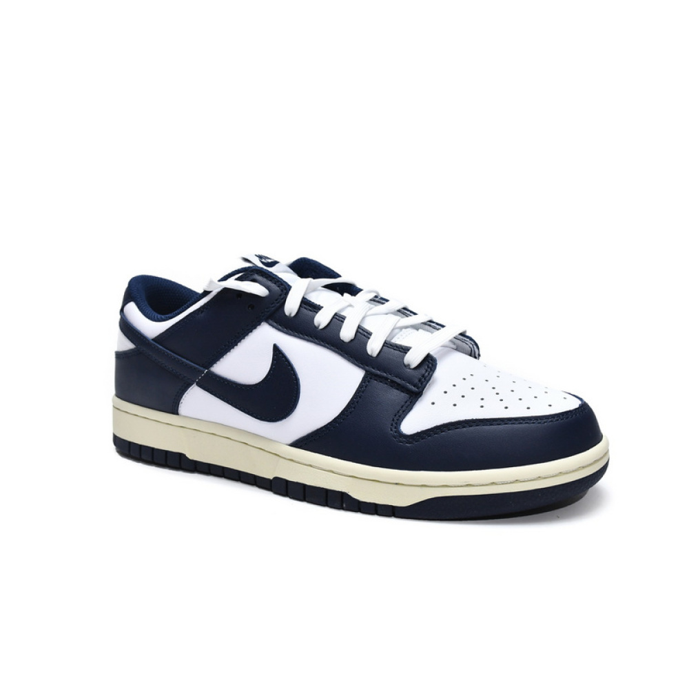 Nike Dunk SB Navy Blue And White