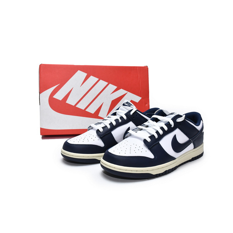 Nike Dunk SB Navy Blue And White