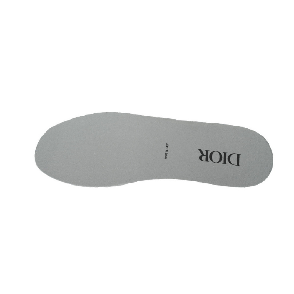 Dior B27 High Grey Velcro